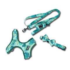 Palm Beaches Green Coordinate Set