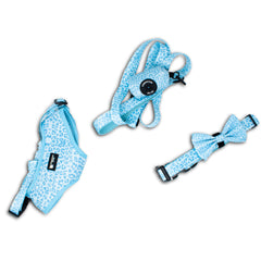 Leopard Blue Coordinate Set