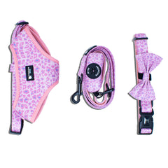 Leopard Pink Coordinate Set